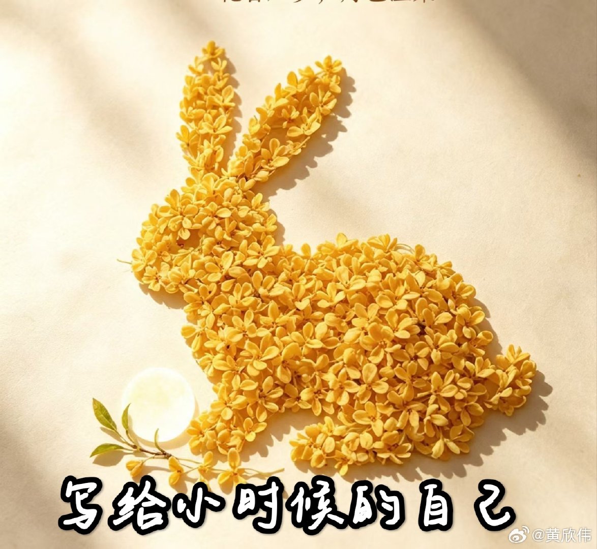 #黄欣伟：如果可以告诉小时候的自己#
第一，父母不一定是对的，经验可能是教训。
第二，不要羡慕成功者，别人背后的付出只是被他自己选择性瞒报。
第三，不要觉得困难高不可攀，世界是个草台班子，对手也有弱点。
第四，不要怕事，没有什么大不了，批评里往往含有夸张，恐吓的水份。
第五，人生是一场马拉松，先胖不是胖，每一分钟都可能转折。
第六，善良更要有尺有序有策略，先选对了人再释放善意，《农夫与蛇》天天见。
第七，怯懦是人类最危险的弊端，错过了就可能再也回不来了。
第八，想到什么尽快去做，来日并不方长，把每天当作最后一天。
第九，生于忧患，为自己设定明天一切都会变的警钟长鸣。
第十，提前交好“可以一起老”的朋友与同学，人脉最终靠自己织。#时光倒流##祛魅##日常分享[超话]##第五人格[超话]#