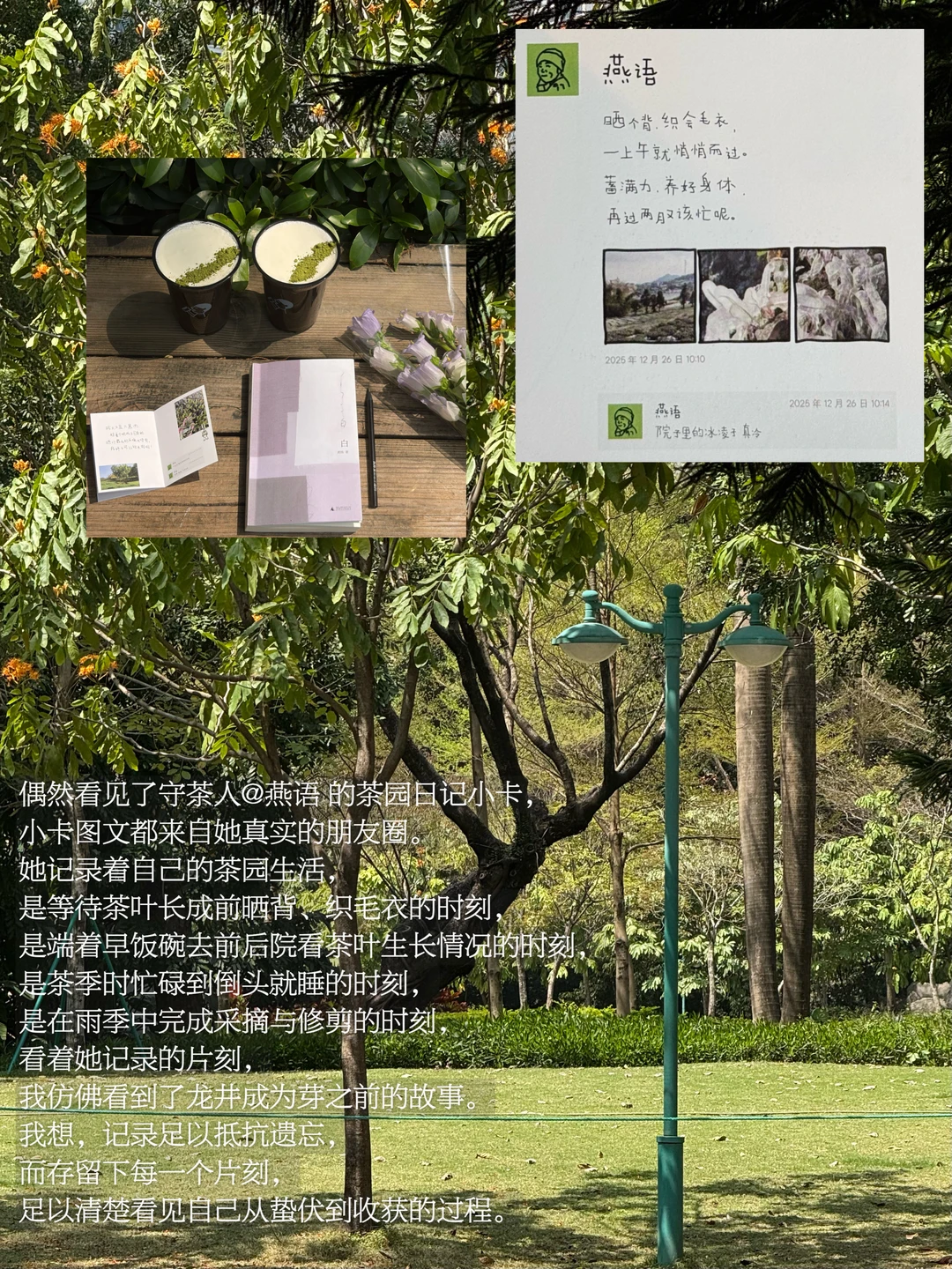 记录春天，在成为春天前