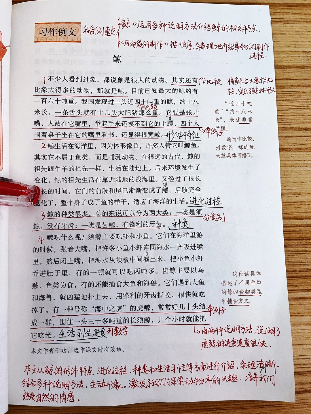 五年级上册《鲸》《风向袋的制作》单元笔记