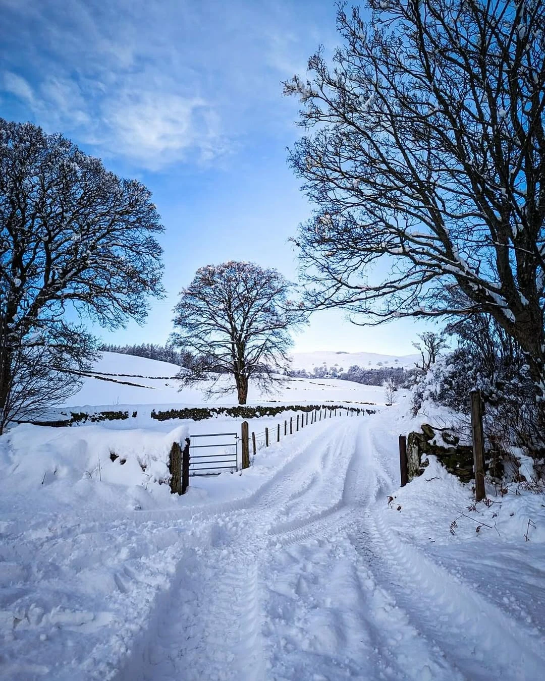 ❄️【英国天气警报】暴雨暴风暴雪！