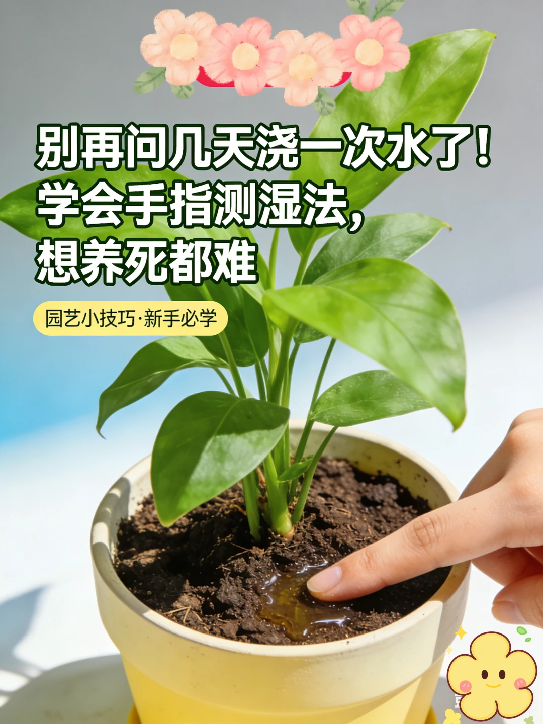 别再问几天浇一次水了！学会手指测湿法