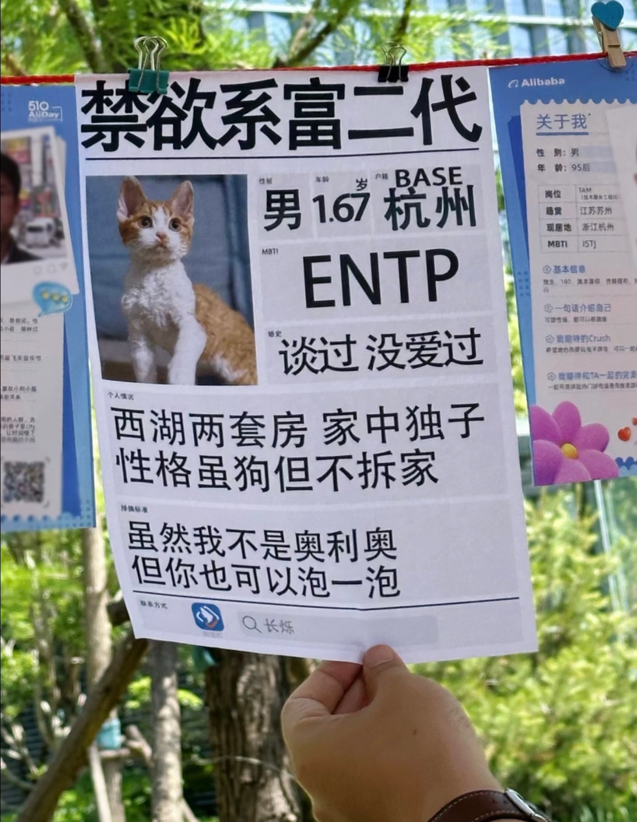 相亲角挑选的从来不是爱情  访谈节目《和陌生人说话》、电影《菜肉馄饨》...