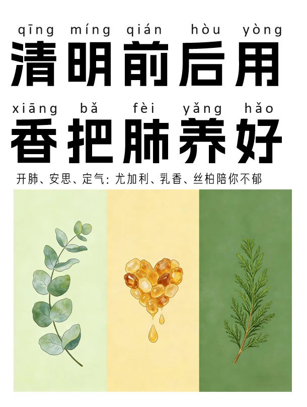 节气仪式香|“清明”莫名难过？试试这3支香