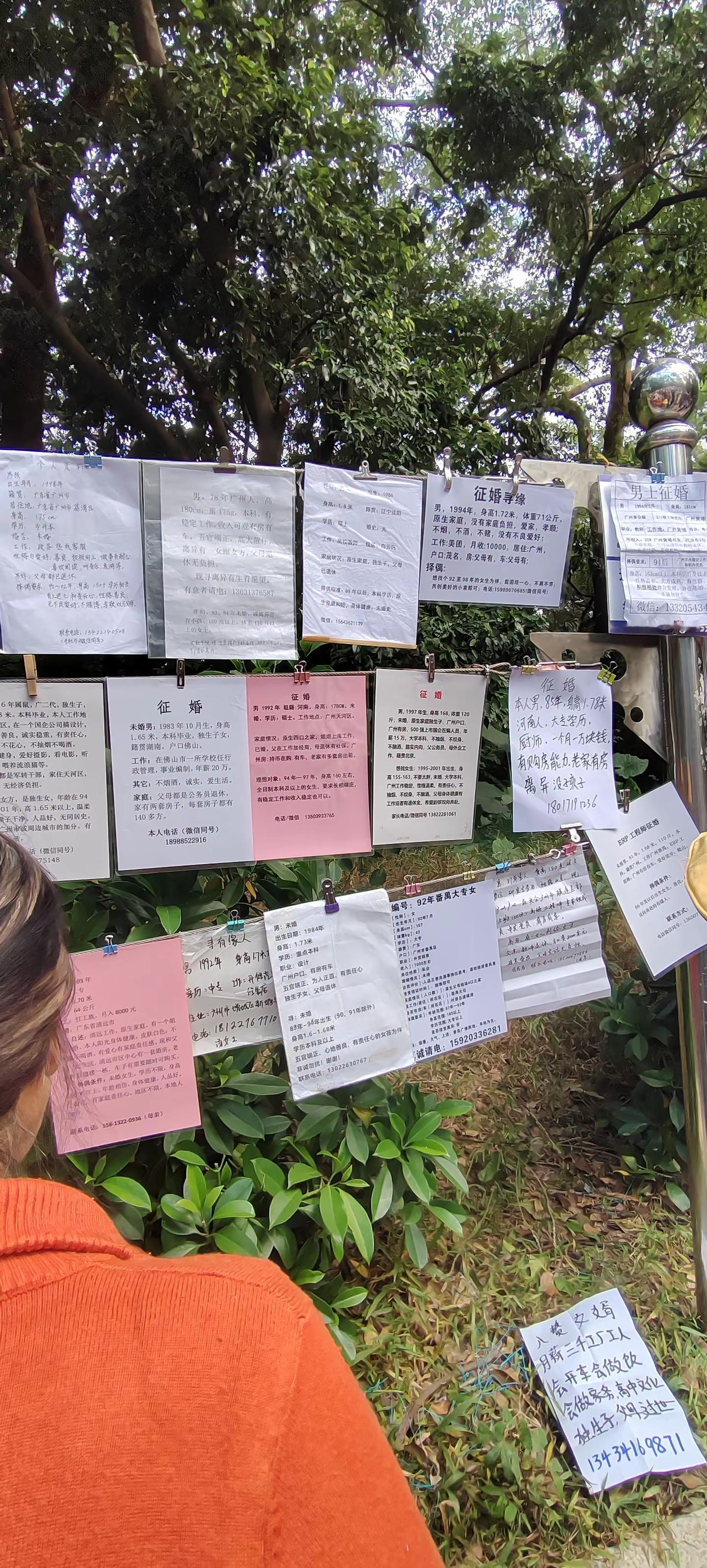 天河公园相亲角 2025-11-23C。我们实在是承受最多磨难的一代...