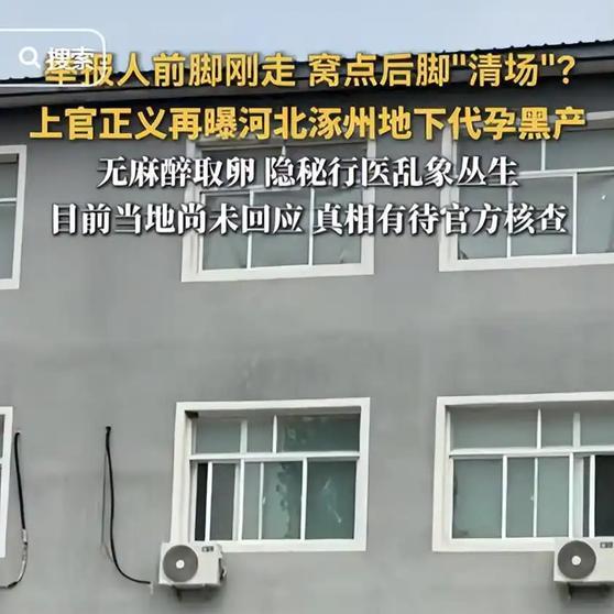 做个心怀正义的人在我们国家有多么的难？揭露真相、黑恶的人居然反过来遭到威胁？荒唐时代荒唐事，可笑悲哀至极。黑恶势力精通“法律”，在监管无效，内鬼横行的地方上官正义一个人在战斗！他是英雄，折射出来的黑暗问题反映了这个时代人心的贪婪、无耻和麻木。
《上官正义举报涿州代孕窝点后，负责人 ​