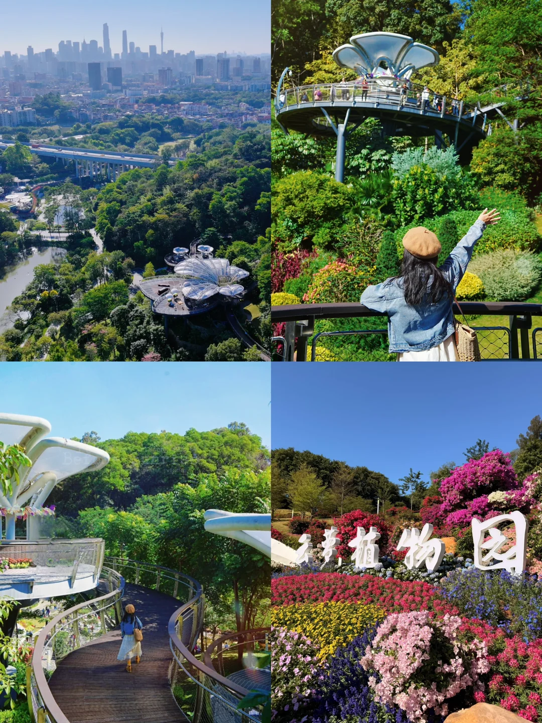 11.29live图实拍！云萝植物园值得去吗⁉️
