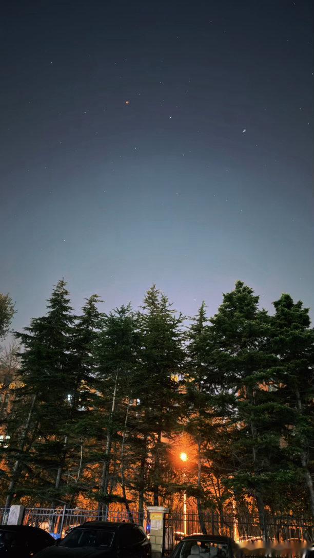 很多星星💫
毛阿敏练琴🎻 ​