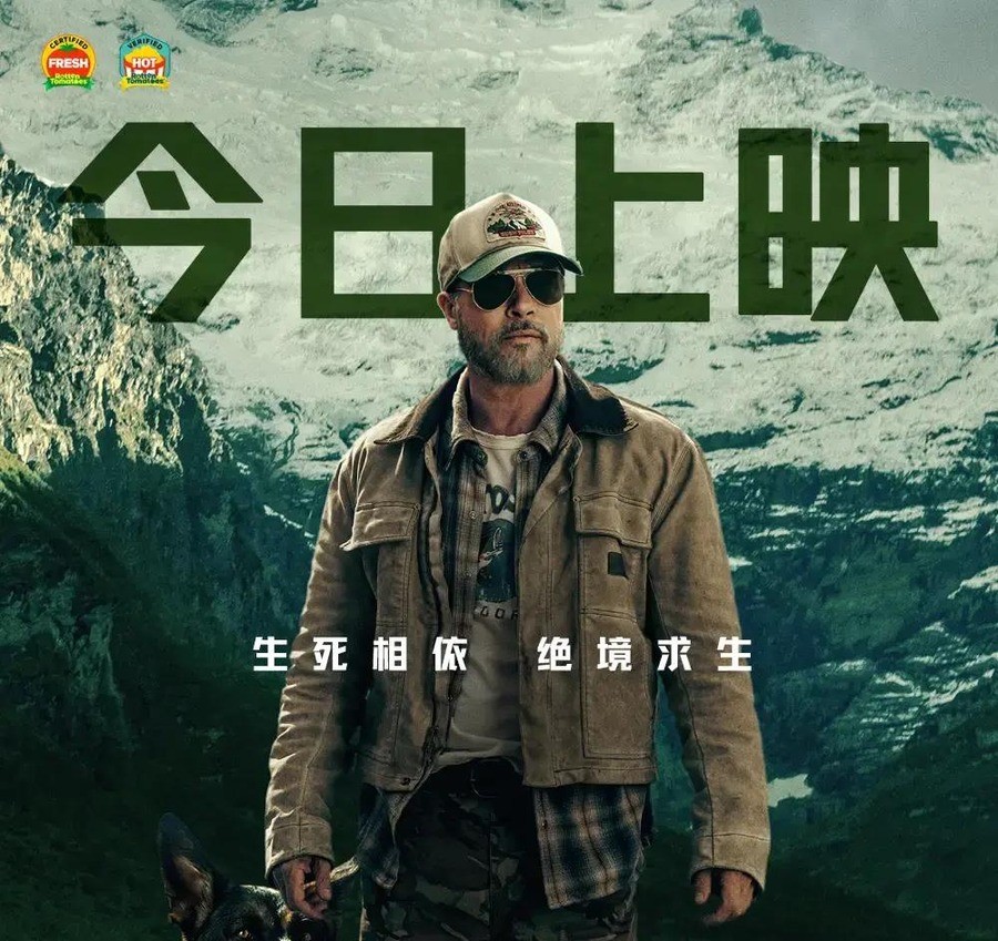 60岁的皮特新片烂番茄96%却没人买票，国庆档排片不到3%，好莱坞靠一张脸撑票房的日子彻底结束了
汤姆·克鲁斯的《Digger》刚在北美3321家影院上映，首周末预计只有750万美元，是他近二十年最差的开画成绩
这部预算飙到1.8亿美元的R级讽刺喜剧，观众直接给了C级评分
同一个月，皮特的《野兽之心