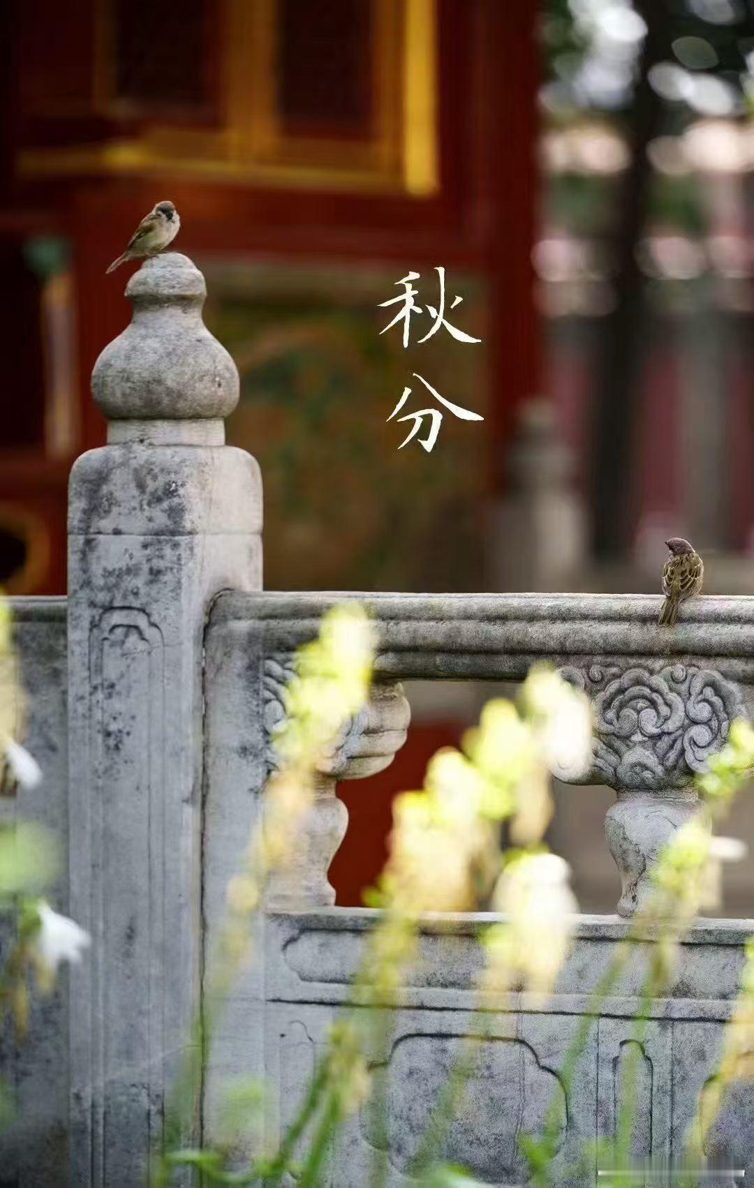 秋分时节，秋衣正浓。春天木旺，夏天火旺，秋天金旺，冬天水旺，愿你四季都人旺财旺。你最喜欢哪个季节？ ​​​