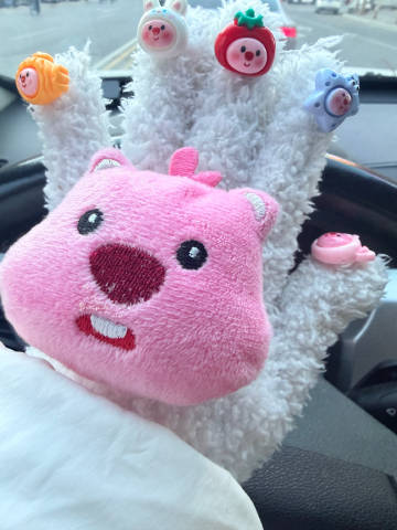 算了，跟你们那些有方向盘加热的人说不清楚.