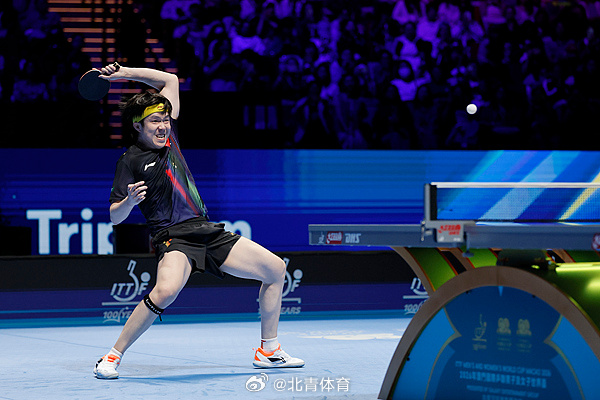 🏓2026澳门乒乓球世界杯男单1/4决赛，王楚钦4比3逆转战胜达科·...