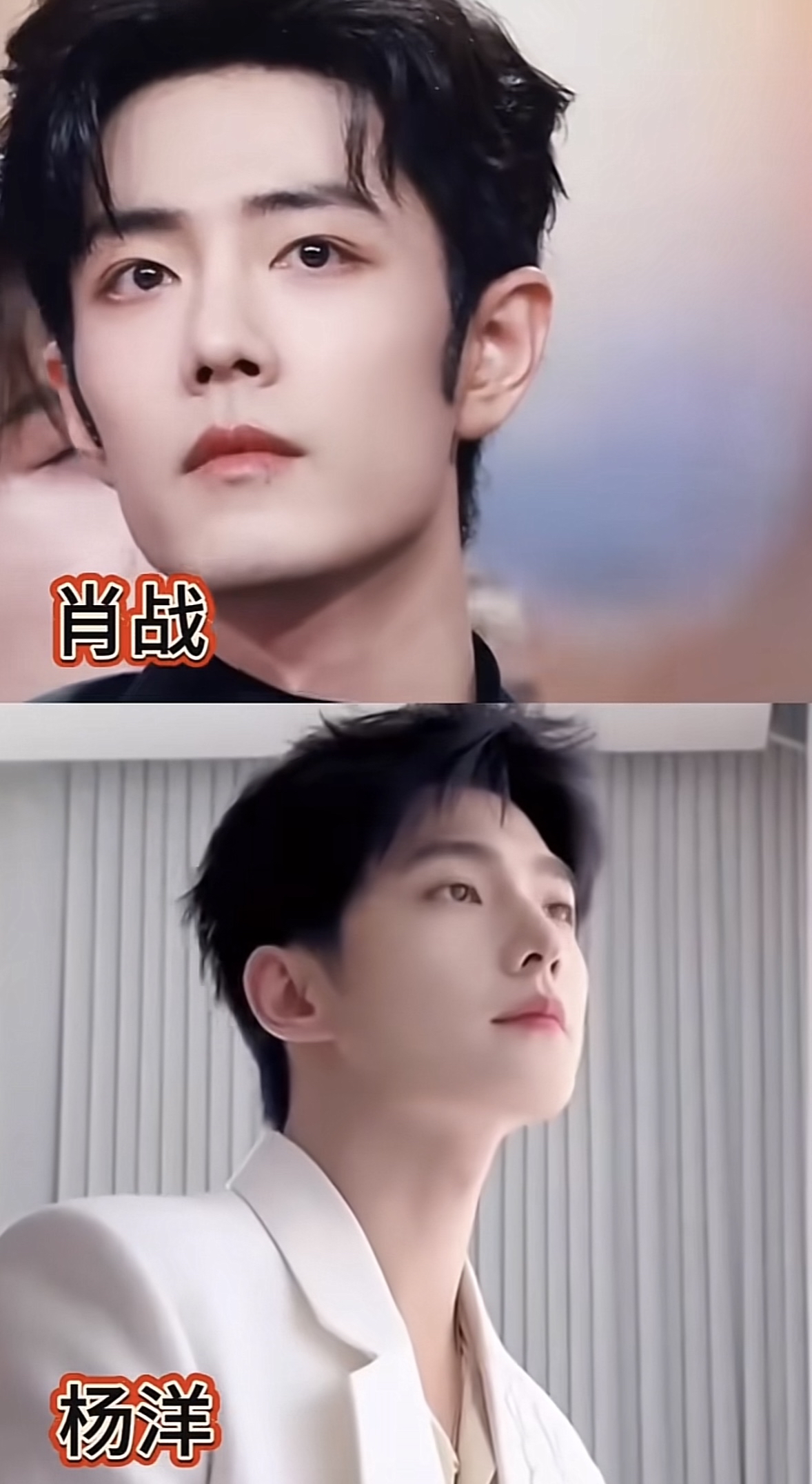 肖战和杨洋，你更喜欢谁？