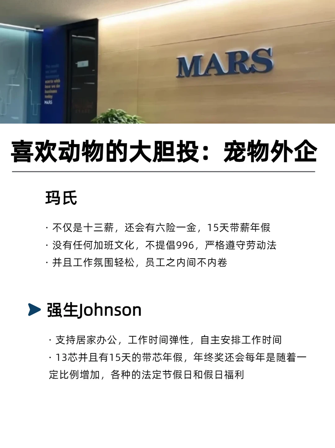 喜欢动物的大胆投：宠物外企