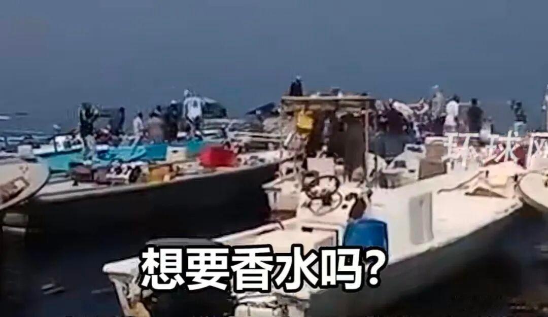 一艘装有全新iPhone的货轮在霍尔木兹海峡起火沉没，网友担心买到“泡水机”，苹果客服回应：公司还没相关通知，若属实绝不流入市场

据新华网报道，新加坡海事及港务管理局14日晚发表声明说，两艘在新加坡注册的集装箱船据报在通过霍尔木兹海峡时被不明投射物击中，其中一艘着火后沉没。

声明说，一艘 ​
