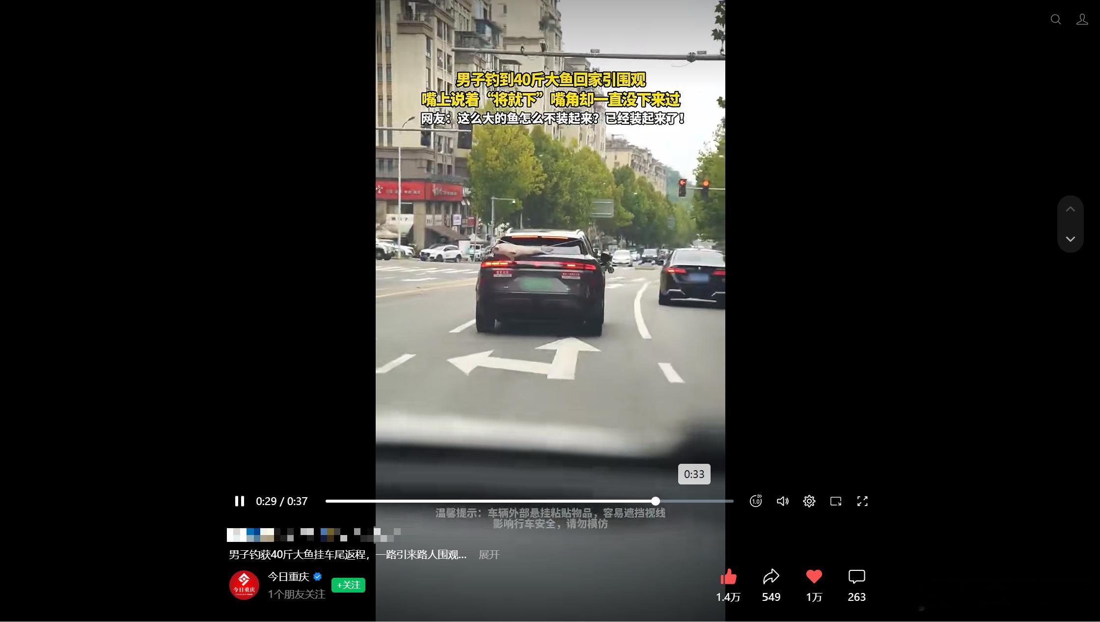 “空军之家”这四个字，钓鱼人刷到都得沉默三秒。平日里车贴是用来自我调侃的，今天直接上演大型反转🤣。同一张自嘲车贴的旁边，赫然挂着一条四十多斤的大青鱼，主打一个就地翻身。好不容易守来梦寐以求的巨物，这名启源Q06车主索性不着急回家，车上小蓝灯亮着，慢悠悠开着车在城区绕行，不少行人与 ​