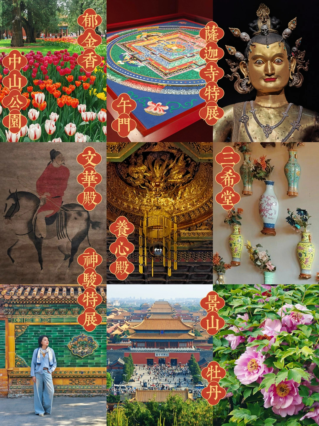 实测故宫4月底蕞佳路线！新展➕赏花全攻略