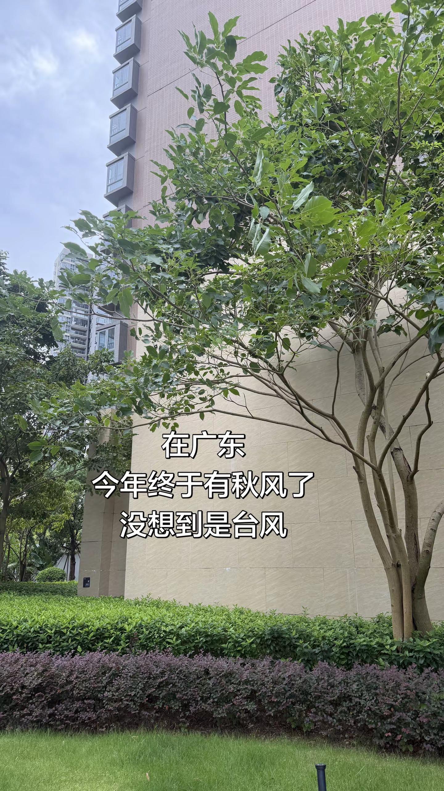 今年终于有秋天了，可恶没想到是台风