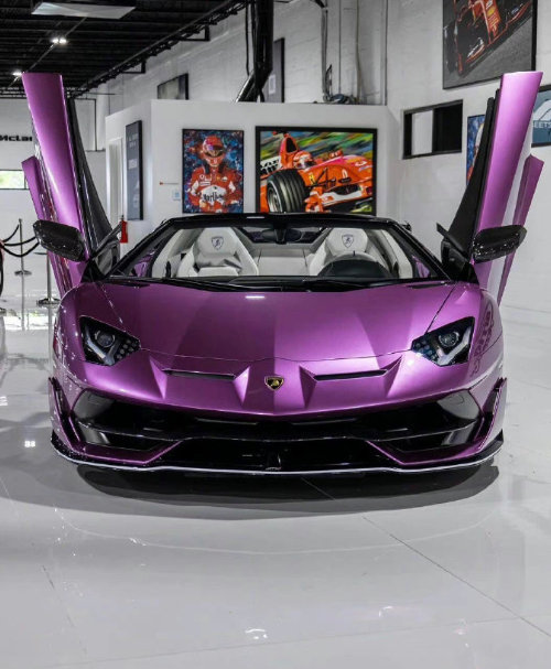 展厅 C 位紫蛮牛，气场直接拉满💜
兰博基尼 Aventador SVJ Roadster
金属紫车漆在灯光下质感炸裂，搭配古铜色轮毂
犀利的空气动力学套件，V12 自吸的终极猛兽
身后满墙超跑徽标，这才是车迷的梦想车库#兰博基尼# ​