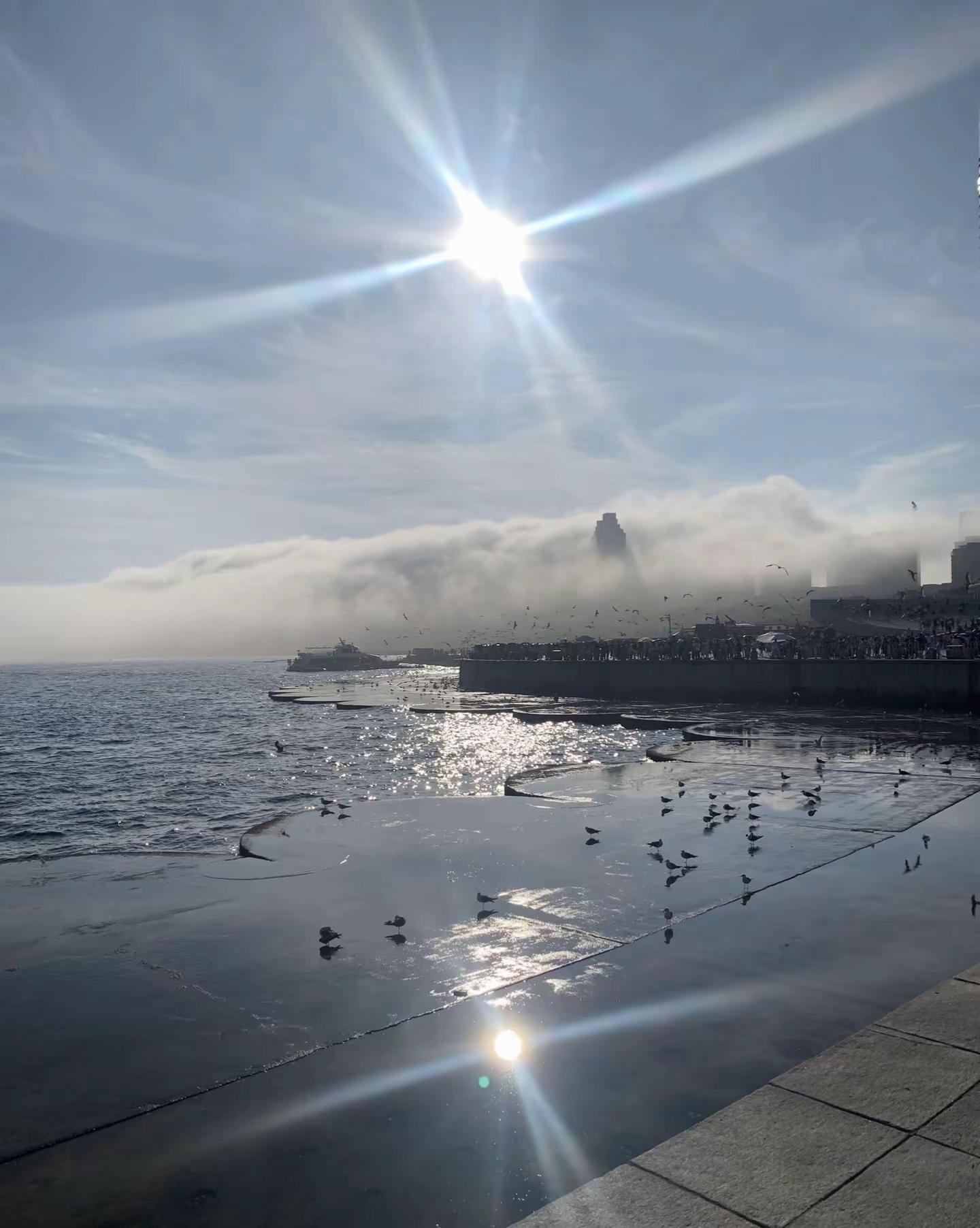 春天散步夏天看海秋天数落叶