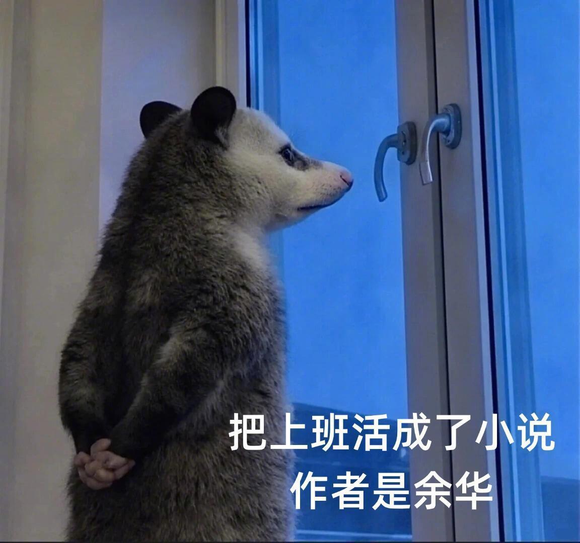 看老板判若两人地压榨年轻人，并没觉得自己得到啥优待了，只觉得陌生和厌恶，一个领导和公司下限有多低，上限就高不到哪儿去

真恶心 ​