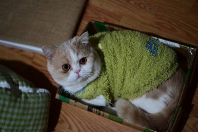 万万没想到<br />纸箱子还小了<br />看来快递要买大件的了<s...