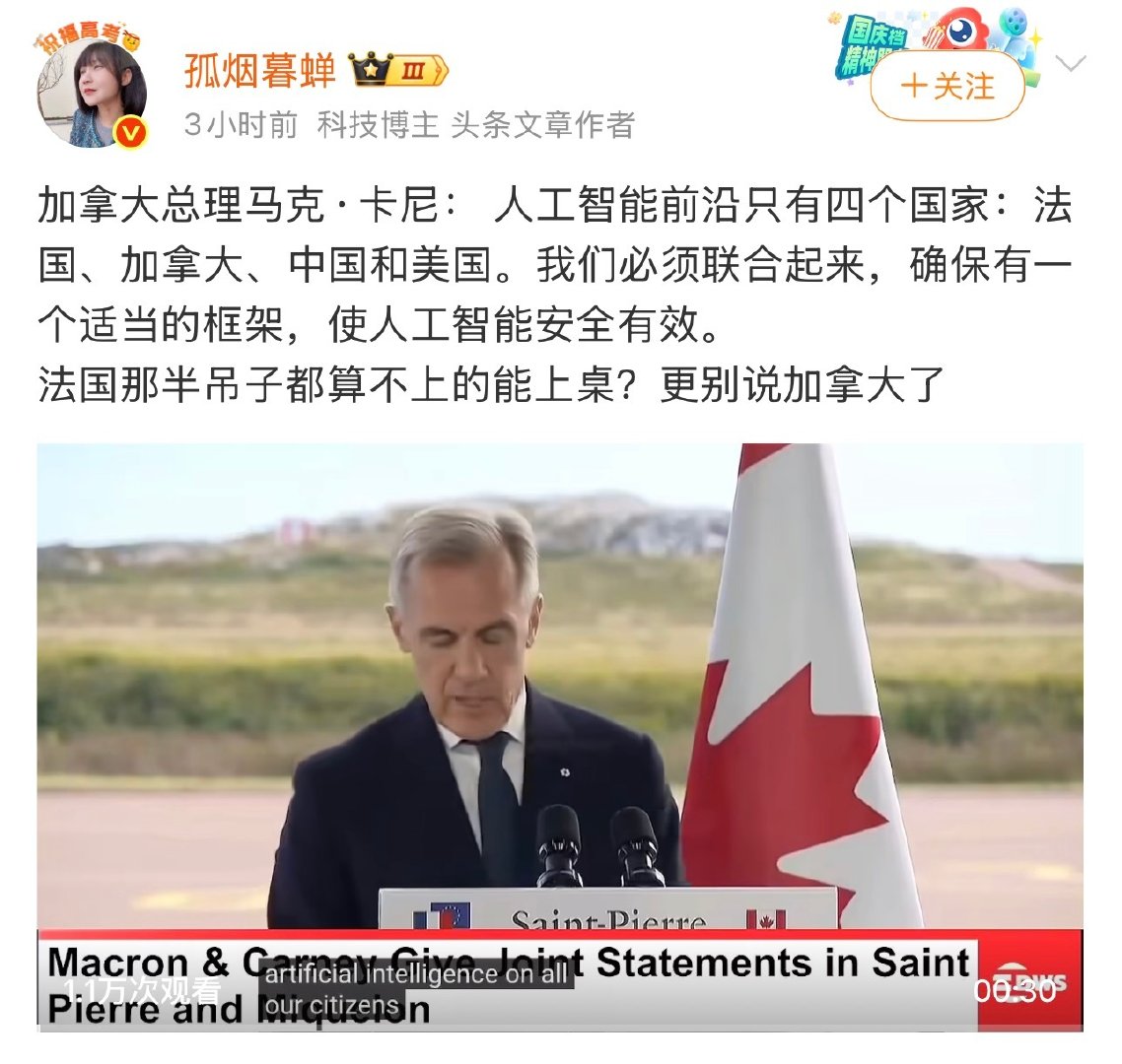 法国和加拿大是什么鬼？他们的人工智能也能坐上桌？ ​