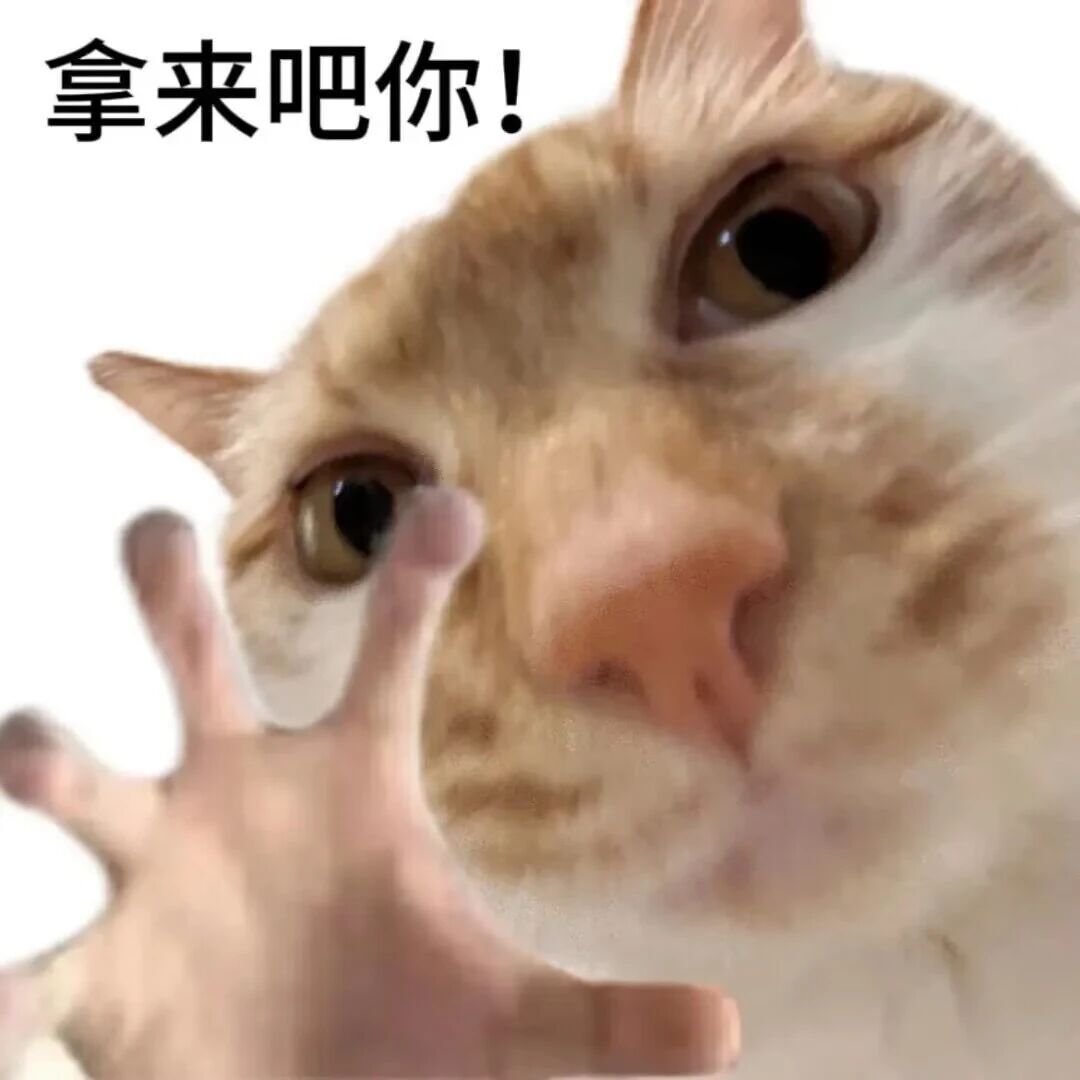 抽象小猫咪表情包