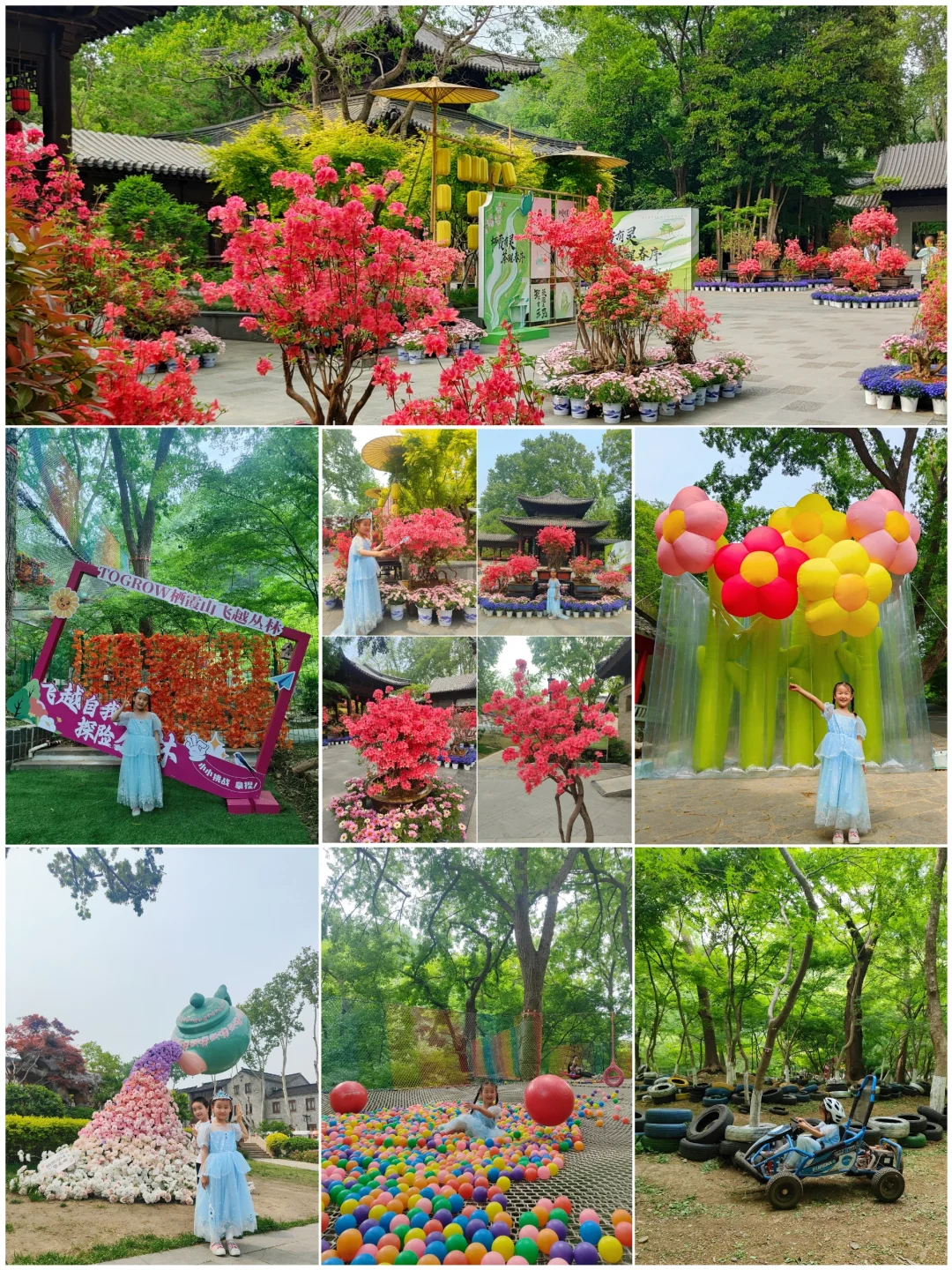 🌸栖霞山的春色满园真的不输红枫季呀!