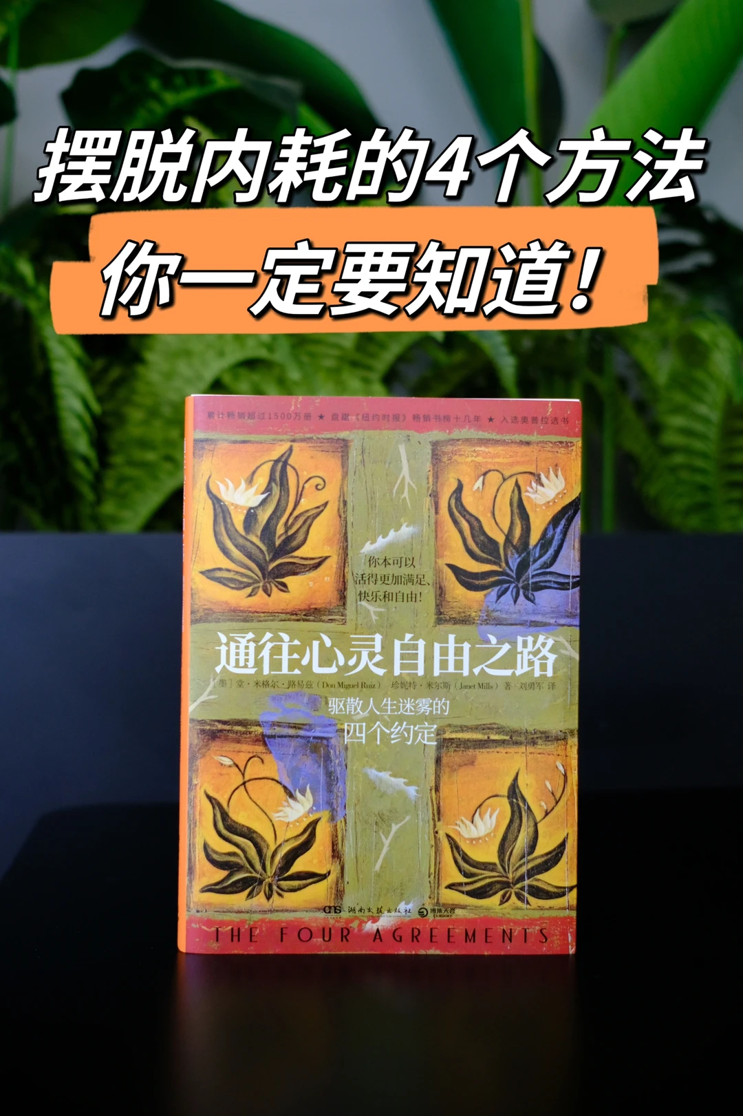 这本只有150页的小书，治好了我的精神内耗！