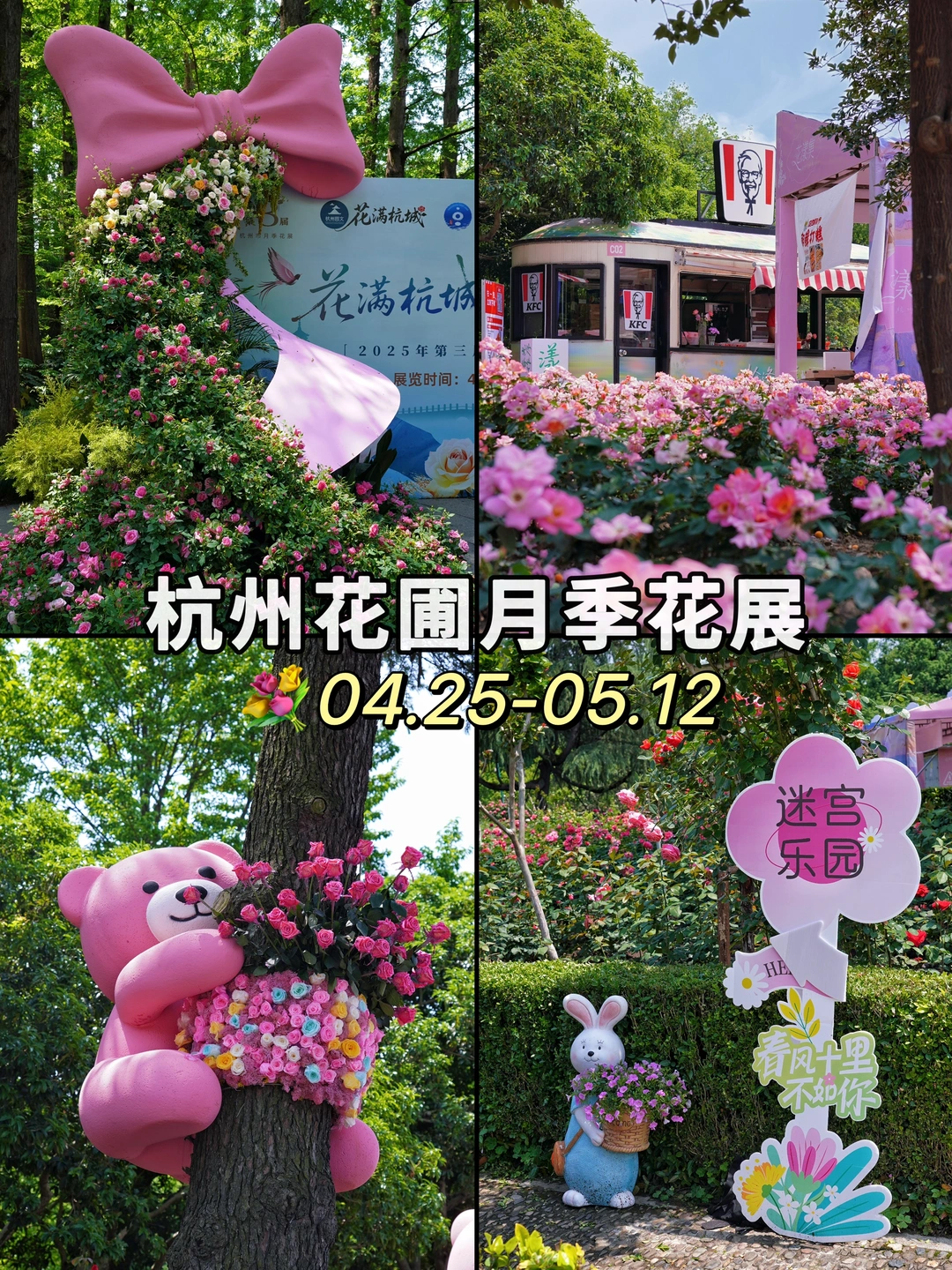 杭州花圃月季盛宴❗️走进现实版莫奈花园❗️