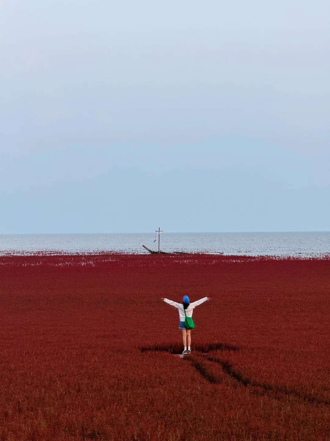 沈阳周边游｜盘锦红海滩绝美拍照机位～