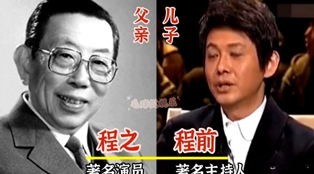 热搜又炸了，黄子韬被曝继承200亿时，“阴阳相隔”的父子话题忽然戳心。
翻到那些名字，程之与程前，苏民与濮存昕，胡宝善与胡军，天方与田壮壮，王天林与王晶，葛存壮与葛优，个个像灯塔，也像尺子。

一代人打下江山，下一代顶着光环也背着债。

名与望，是资产也是KPI。

当