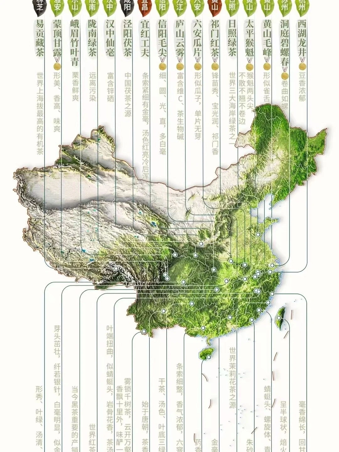 一张图片带你了解全国所有茶类，建议收藏！