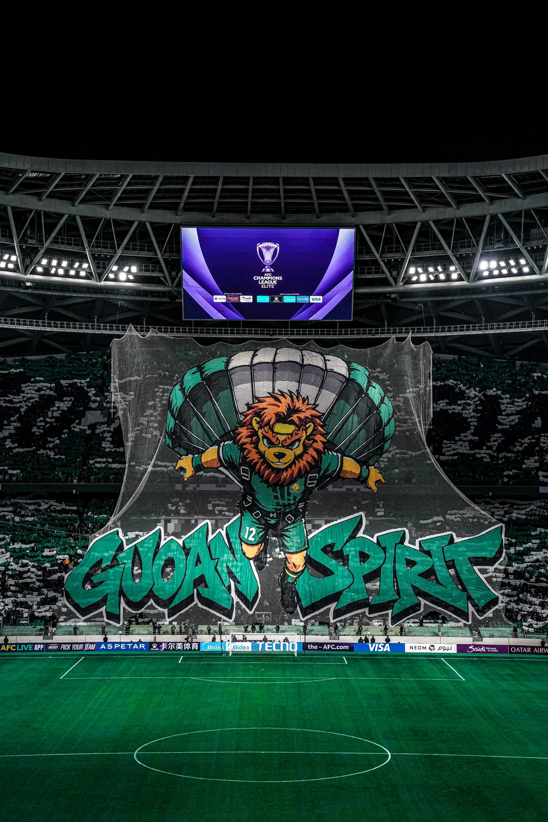 10272026｜Tifo照片出炉💚🦁