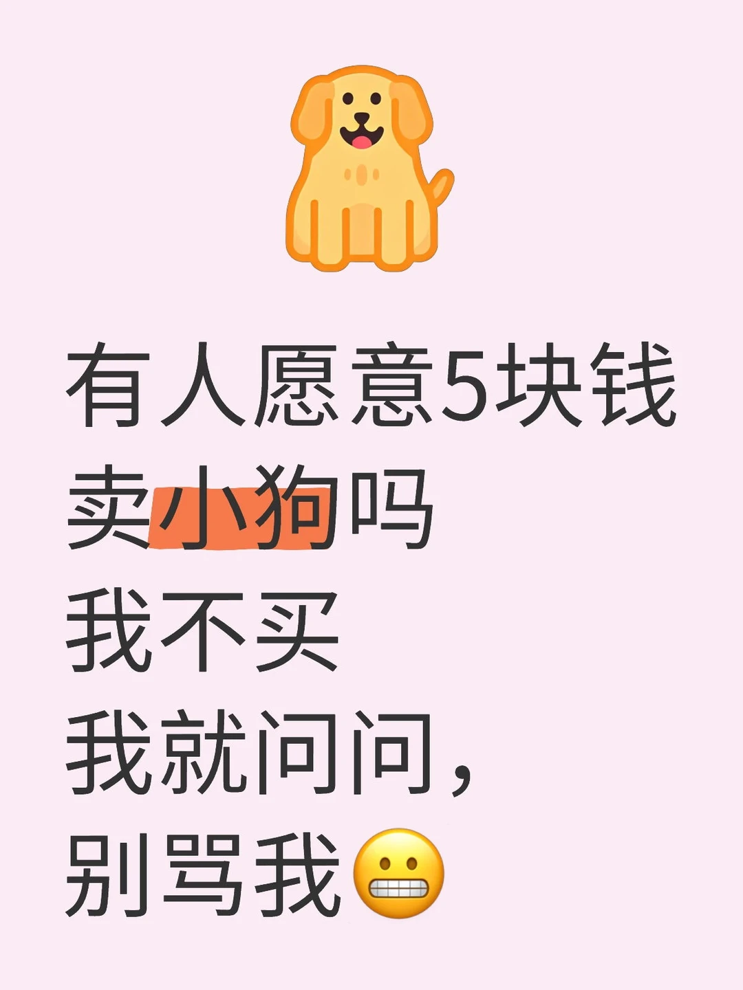 有人愿意5块钱卖小狗吗