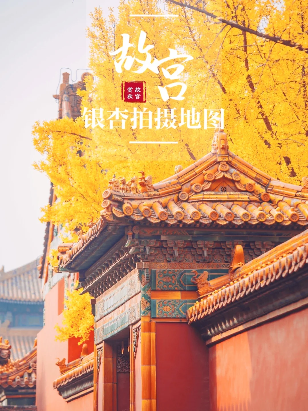 故宫银杏｜今年秋色加载完毕，要赏秋的抓紧了