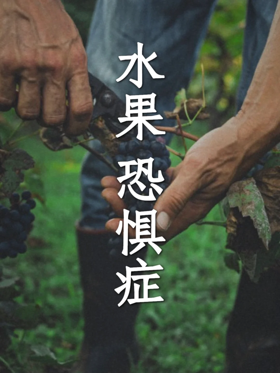 恐惧的原因归根结底有4种