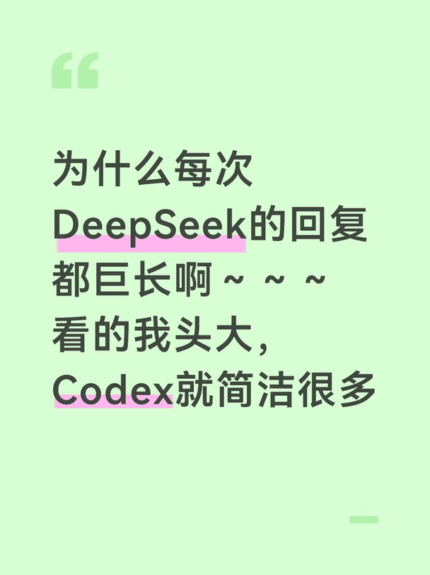 DeepSeek很啰嗦有没有