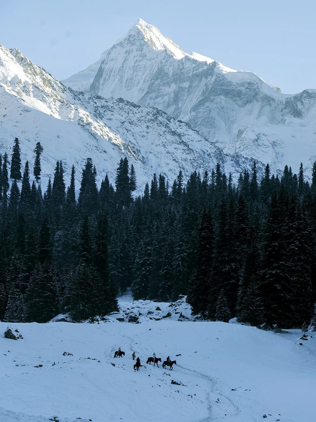 我对新疆冬天所有期待，都在这雪山松林间