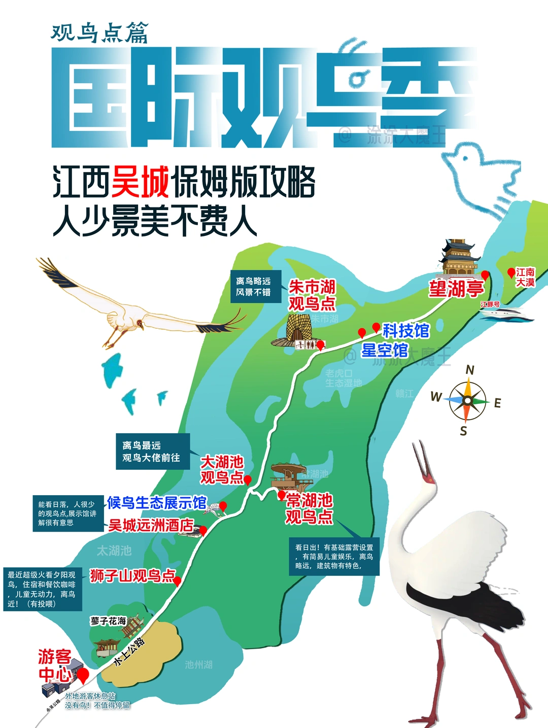 江西吴城观候鸟保姆版攻略｜人少景美不费人