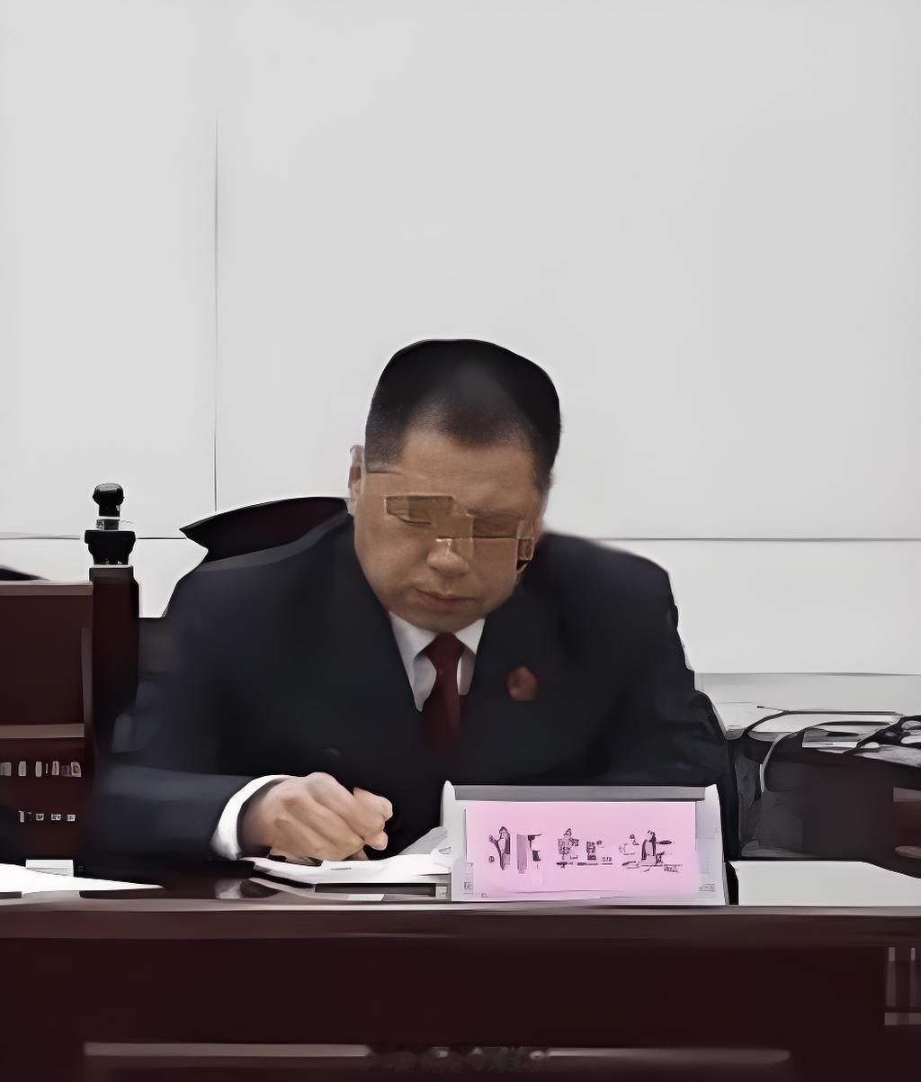 2026年5月25日，武丽娜拿着七年未能执行的工程款胜诉判决，计划在市...