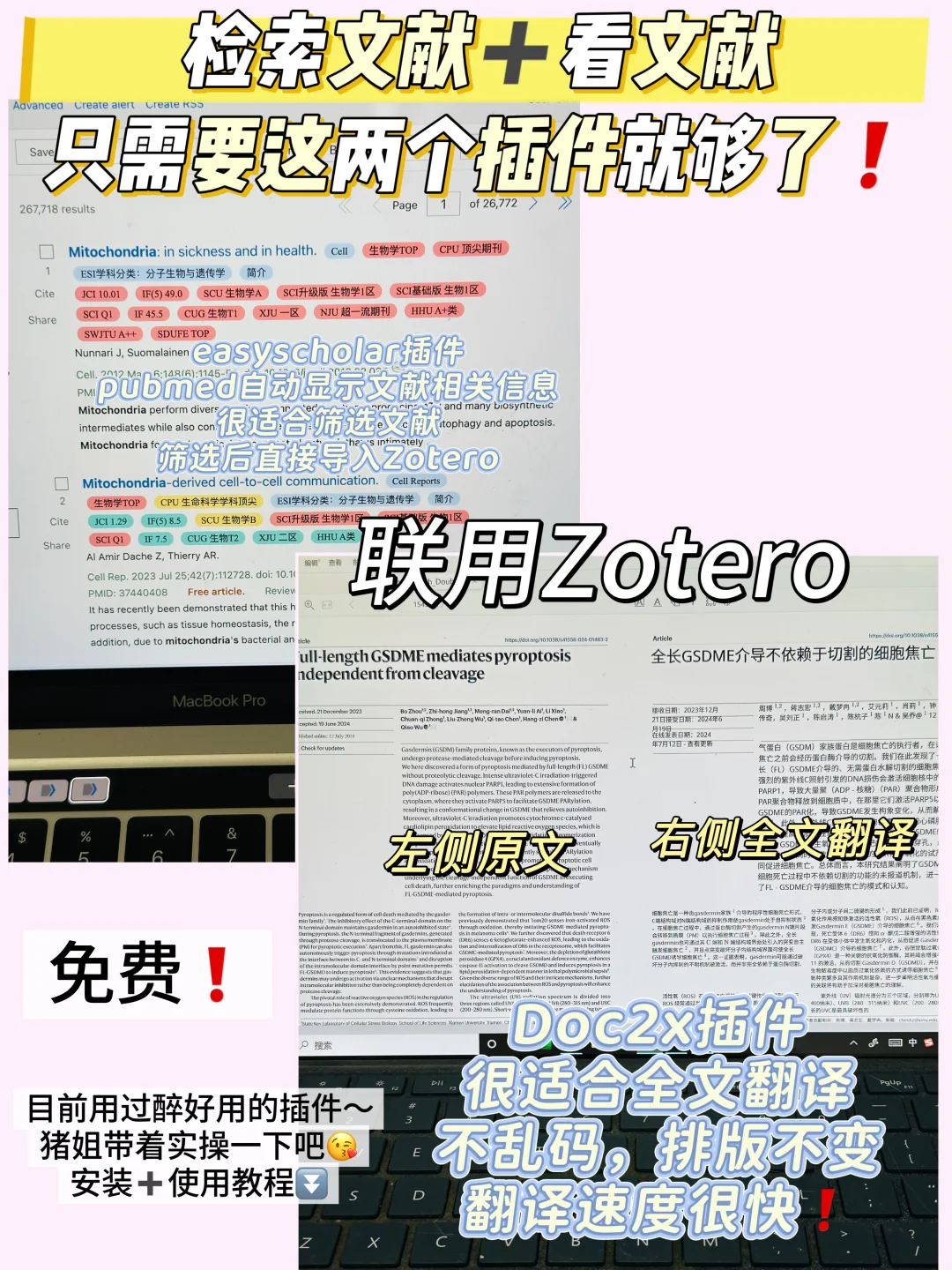 Zotero联用这两个插件，简直王炸💥，贼方便啊