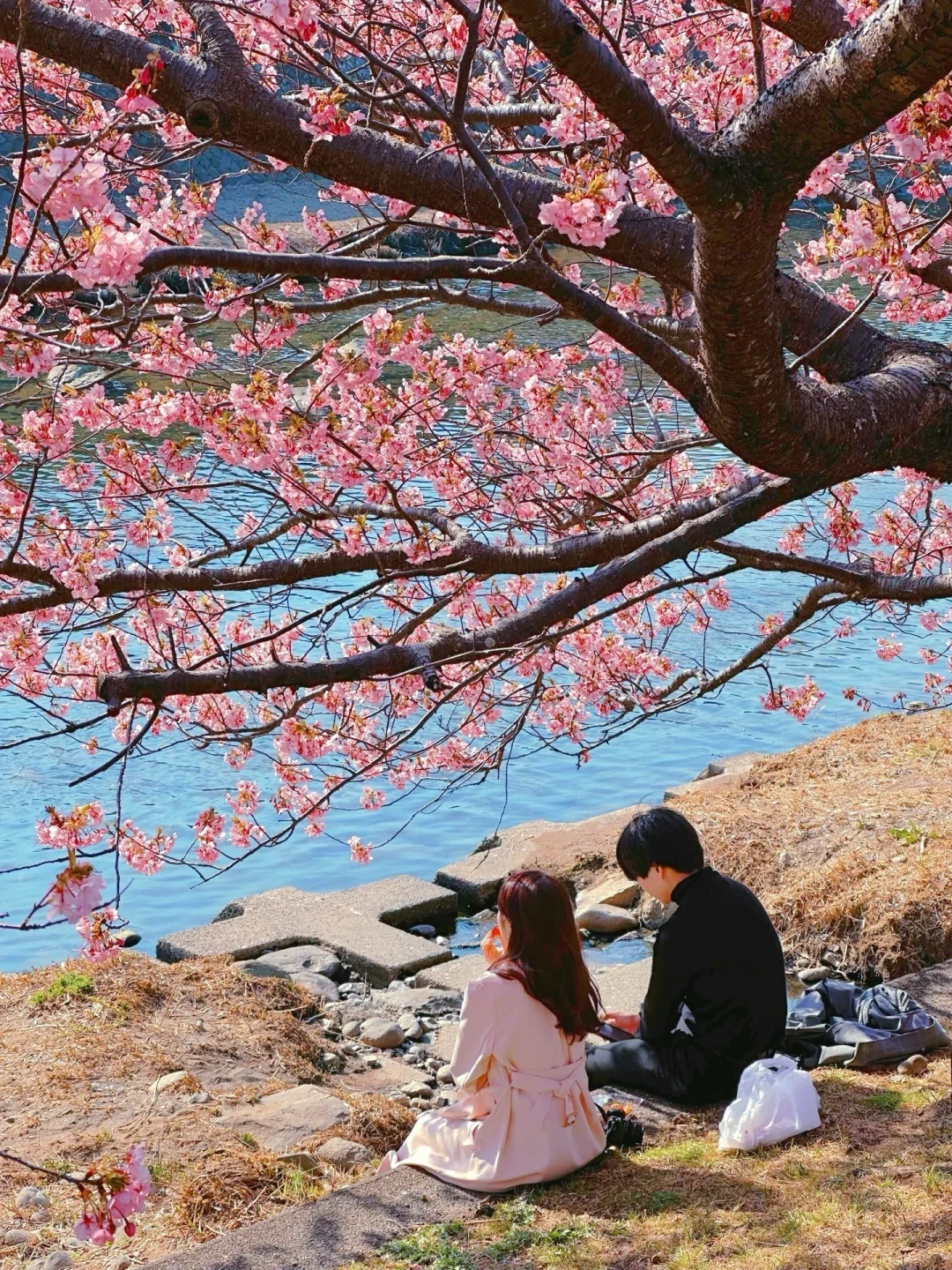 live实况🌸原来动漫里的场景是真实存在的！