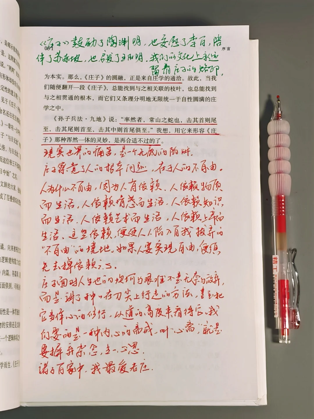 真的是了解庄子的神级读物！求求你们去读