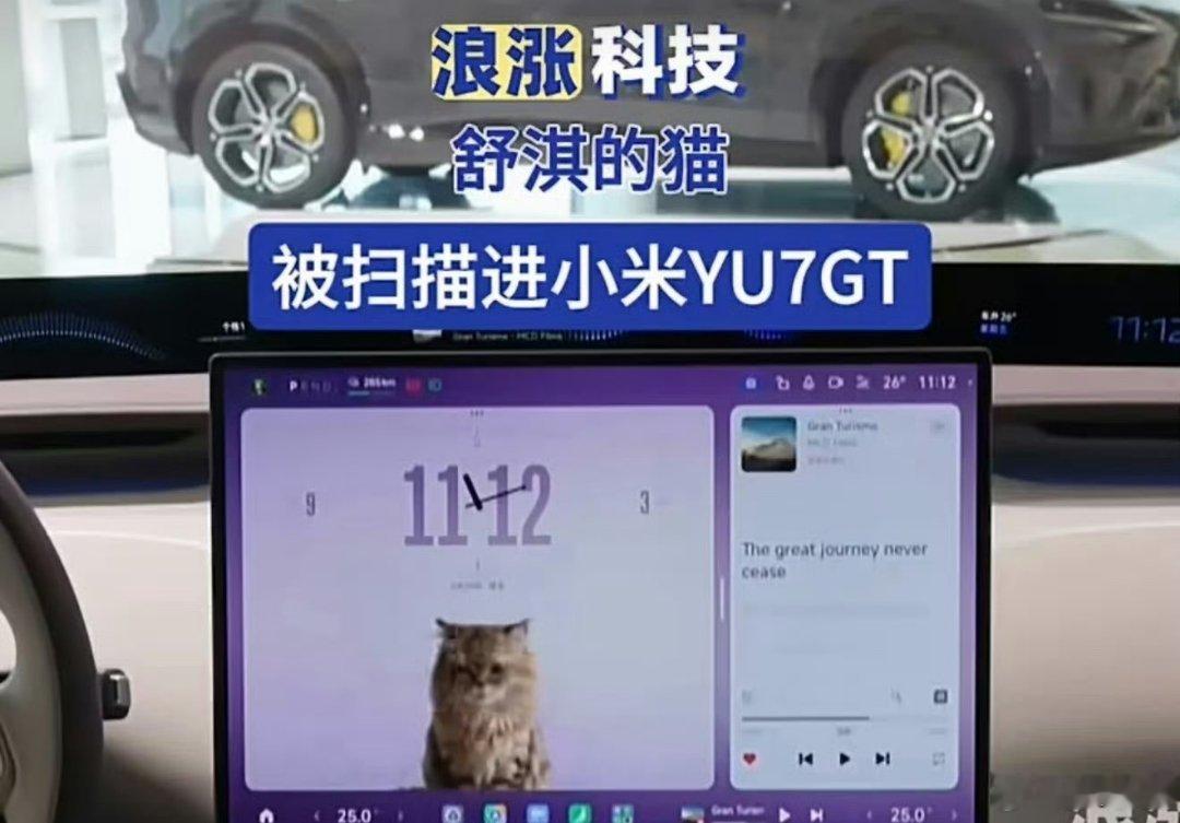 GT首批交付现场，舒淇突然看到自己的两只猫猫maymayboy和may...