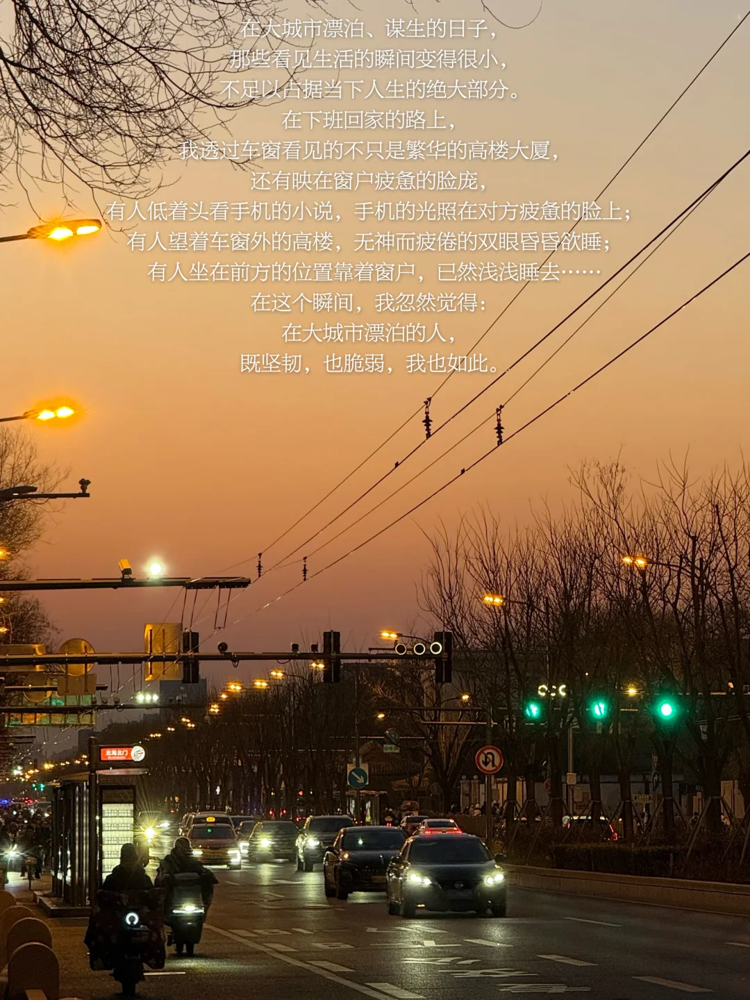 每一个独自在异乡漂泊的人，都辛苦了