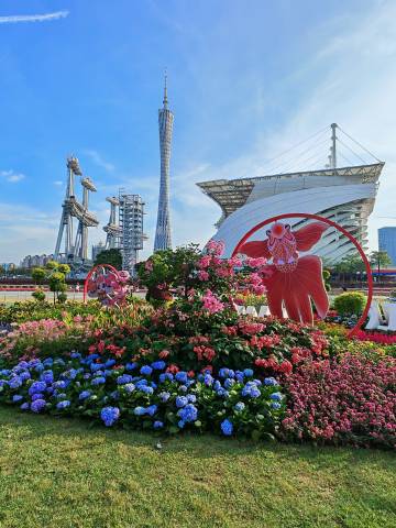 蓝天、花海与广州塔，把城市的温柔与烟火气都装进了眼里✨