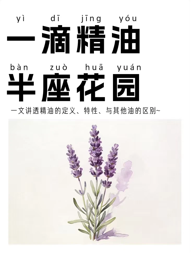 精油是什么？为什么它叫油却不油？一文看懂