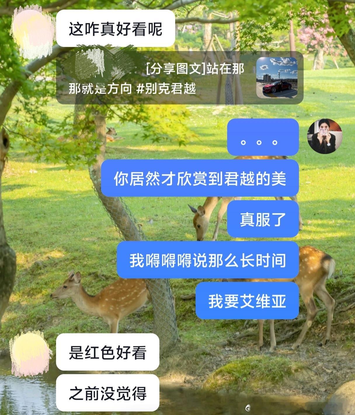 艾维亚 艾维亚 我要艾维亚🤤🤤🤤
算她有品味
三代半的前脸最好看了[舔屏][舔屏][舔屏]
还有梅洛酒红[吹风车][吹风车][吹风车]

我觉得和新款放一起对比就是商务风vs运动风
老款车头也不是紧凑，包括我的车也是，大部分空间都在车头，但是就是咋说呢，线条不流畅，不是顺下来，就很突兀的停了，咔 ​