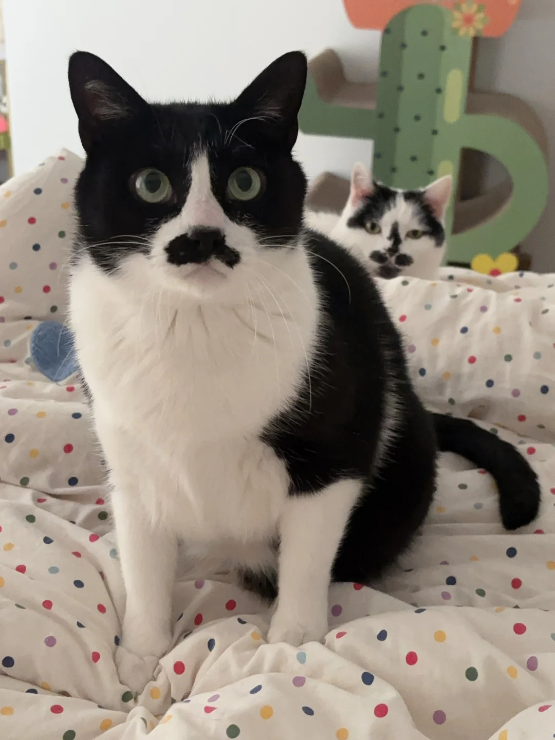 常常因为长相自卑